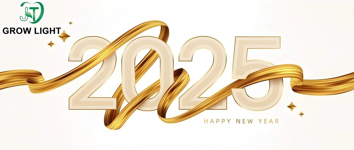 Happy New Year Happy New Year