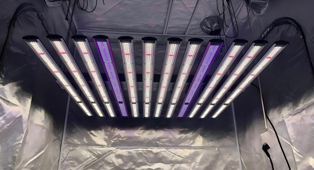 uv ir grow light.jpg